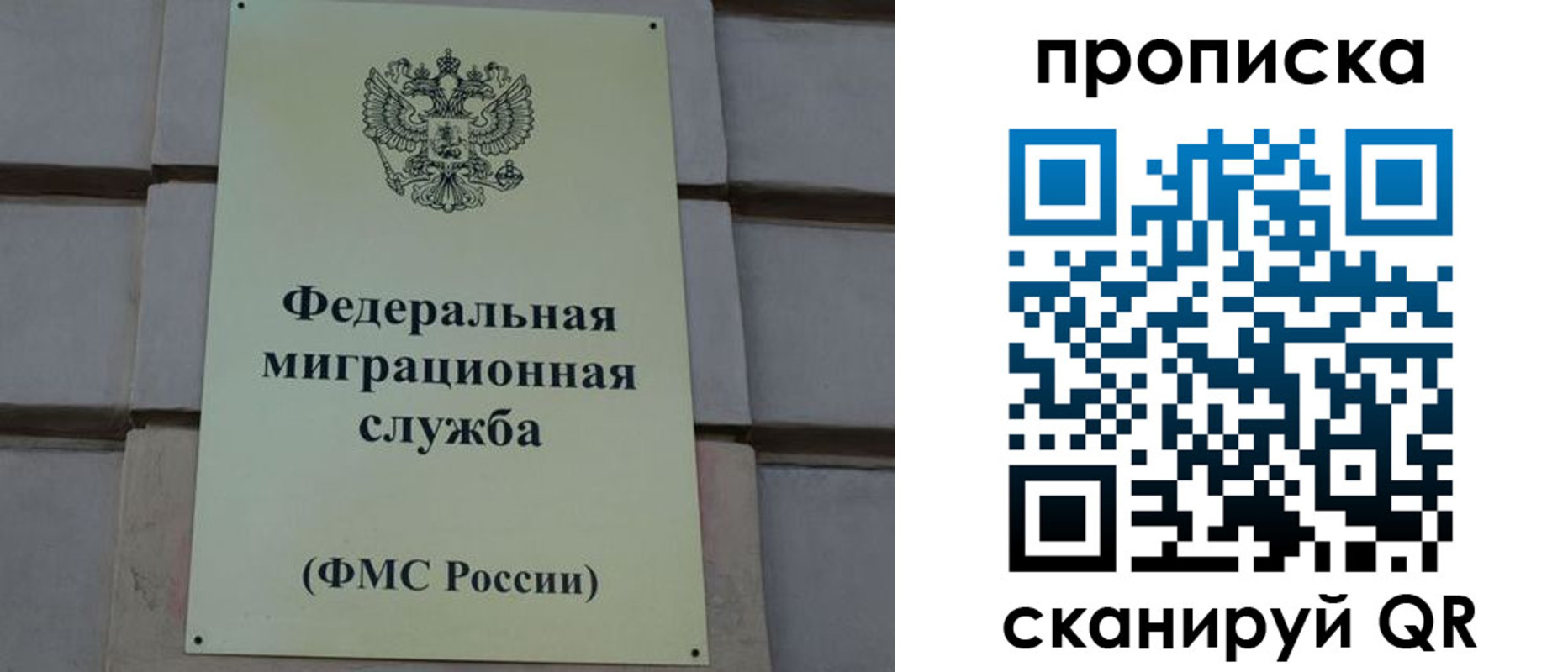 прописка поиск в Тихорецке